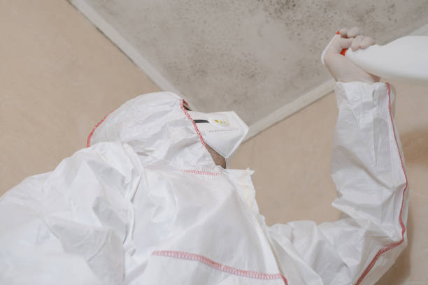 Mold Removal and Inspection in Glendive, MT